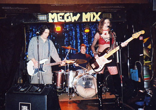 StarkatMeowMix