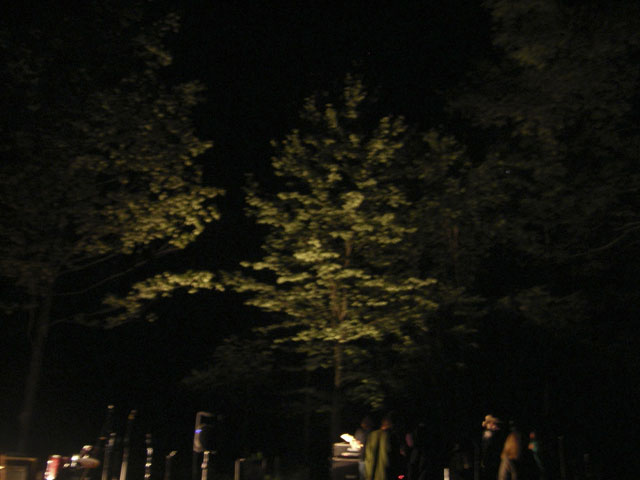 IMGP3624