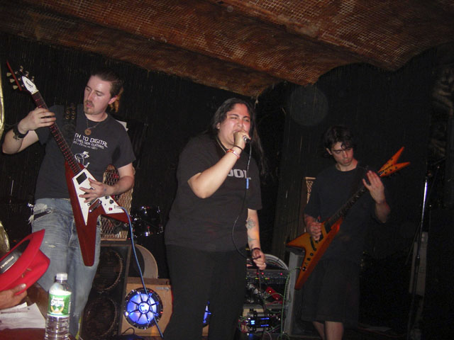 IMGP3731