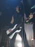 GENITORTURERS/bass