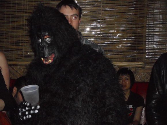 GORILLA grooving to the VONDELLS.