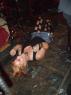 CYNDI, on her back with her knees in the air!