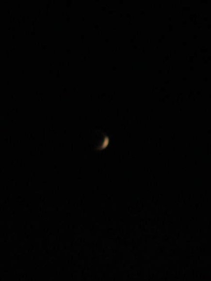 The Moon is almost gone!