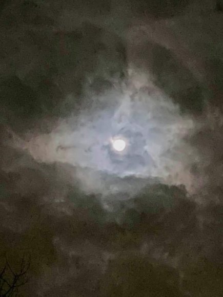 FULL MOON @ MIDNITE 11/11/19